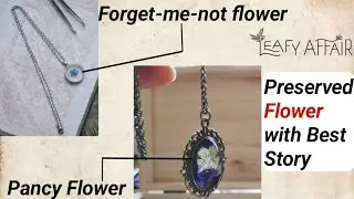 *LEAFY AFFAIR* Preserved Flower with Best Story Under ₹999
