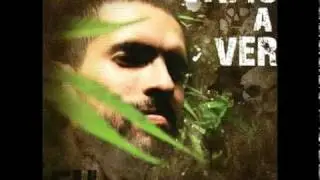 Llegue ( marmota )