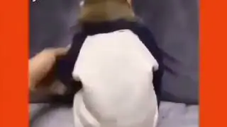 Nazlı meymun🐵🐵🐵