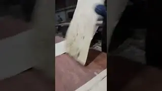 my new video posd 🥰🥀 pelai bot 