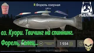 Russian Fishing 4. oz. Quori Point for catching Trout and Nalim. Try twitching.