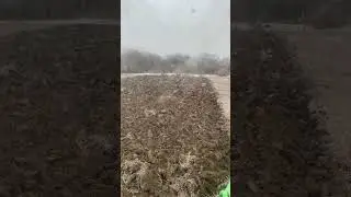 Оранка в грудні 🤦‍♂️-4❄️