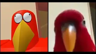 Red Bird meme BUT it’s Roblox