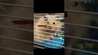 вы не моя мама 😳 