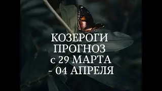 КОЗЕРОГИ🦏 ПРОГНОЗ с 29 МАРТА по 04 АПРЕЛЯ