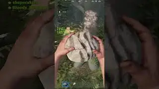 RUST НИКОГО БОЛЬШЕ ПАУ-ПАУ! #rust #meme #ор