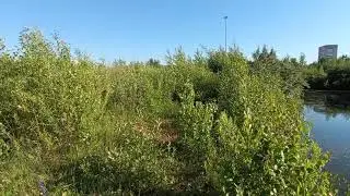 Part 2.