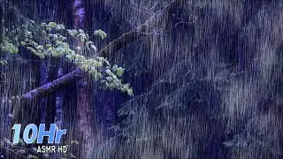Rain sounds for sleeping 10 hours. Rain in the forest will help you relax and fall asleep.