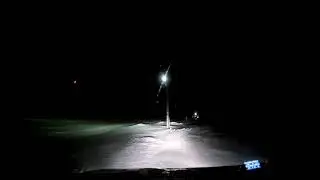 По собачьим следам 2