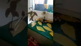 Поделка в садик на тему осень