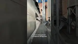 Сушка семечки без расхода топлива 
