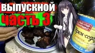 мой выпускной после 11 класса / 3 часть