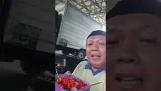 Ikan  Teri