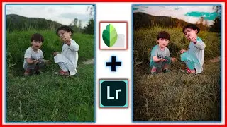 Snapseed and Lightroom simple and vip editing / Snapseed and Lightroom photo  /#lightroom #snapseed