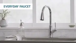 Elkay Everyday Faucet