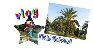 Vlog:на море, гуляем по Адлеру, красивые пальмы