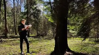 Прозерпина