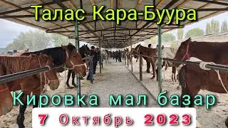 Мал базар Талас Кара-Буура Кировка 7 Октябрь 2023