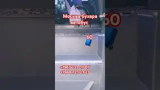 Москва ташкент автобус Москва бухара автобус ташкент москва автобус