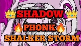 👑SHADOW👑 | 🔥Phonk🔥| Shalker Storm | ФОНК КОТОРИЙ ВЗРИВАЕТ ТИК ТОК |