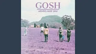 Never Lose You
