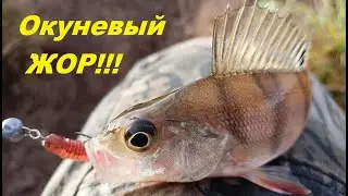 Окуневый ЖОР на ультралайт Favorite Blue Bird BB1-682SUL-S