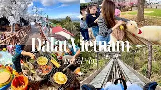 [Vlog] 🇻🇳 越南大叻 Dalat 3D2N  | Culture, Foods, Nature | 山上城市, Datanla, Lakeside 风景真的太棒啦🤯 [EN/VN]