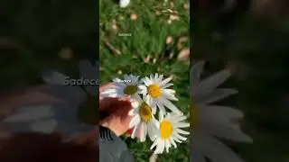 Sadece seviyor seviyor seviyor 😜