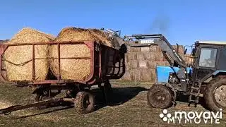 Погрузка, скирдовка по два рулона Соломы.