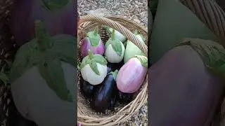 Рецепт баклажанов #дача #дачныеидеи #огород #сад #garden #заготовки #рецепт