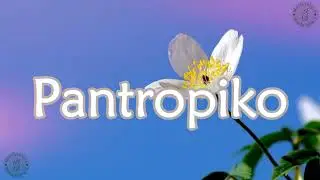 BINI - Pantropiko (Lyrics)