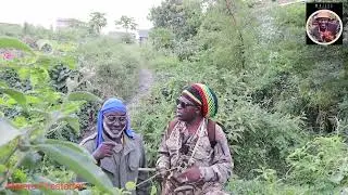 PROF WAJACKOYAH MEETS LUCIANO IN MÀASAI MARA 🤣🔥🔥🔥#comedy #trending #prank