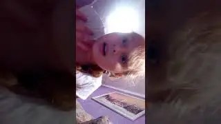 16 октября 2017 г.