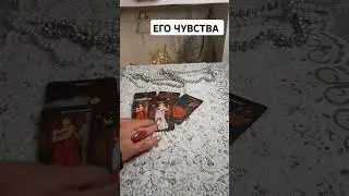 его чувства 