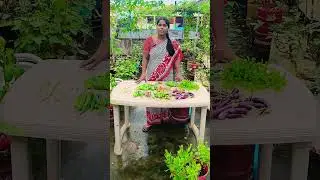 చిన్న హార్వెస్ట్ #shorts #terracegardening #ytshots
