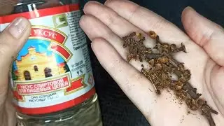 НАЛИЛА Уксус в Гвоздику 