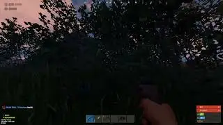 ЙОКА МОМЕНТ #rust