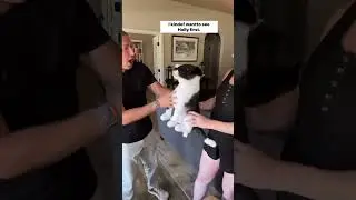 Custom Dog Stuffed Animals For Baby Nursery | MyPetsies©