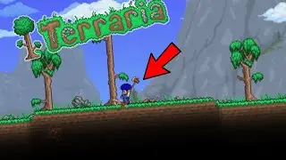 My journey begins here (Terraria).