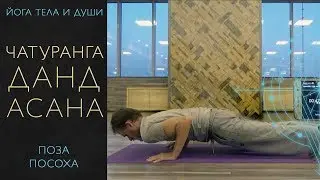 чатуранга дандасана, поза ПОСОХА