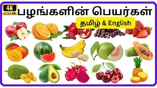 பழங்களின் பெயர்கள்/ Learn Fruits names in Tamil and English/ பழங்கள்/ Fruits names for Kids
