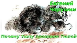 Почему Тюпу прозвали Тюпой. Е. Чарушин.