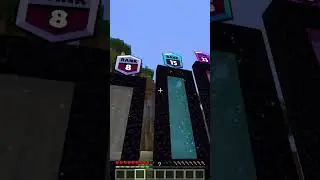 these nether portals at different ranks leads me to...? (はいよろこんで) #minecraft #shorts