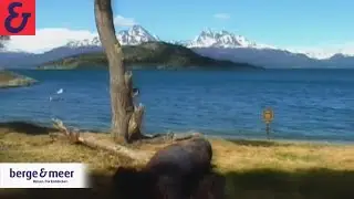 Reise-Video Argentinien - Patagonien | Berge & Meer