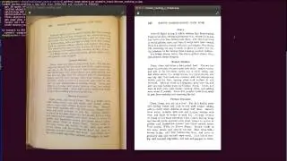 Page dewarping and thresholding using a 