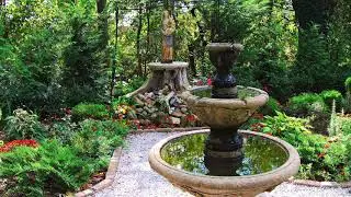 Welcome to our Mary Garden