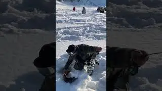 Мощный 😱 таймень 