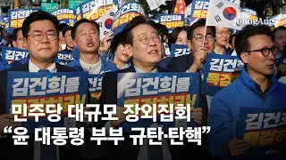 장외집회 연 민주당 