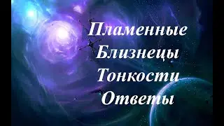 Пламенные близнецы.  Некоторые тонкости.  Ответы 28.10.2023