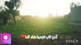 abida parveen sindhi song | sindhi new status | sindhi song
